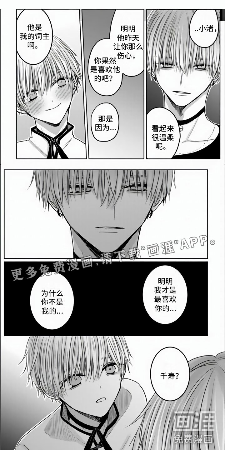 第9章：把你夺走了