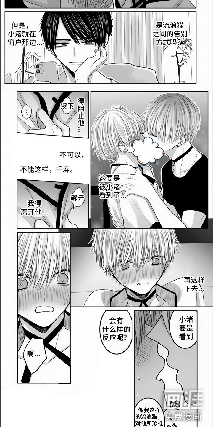 第9章：把你夺走了
