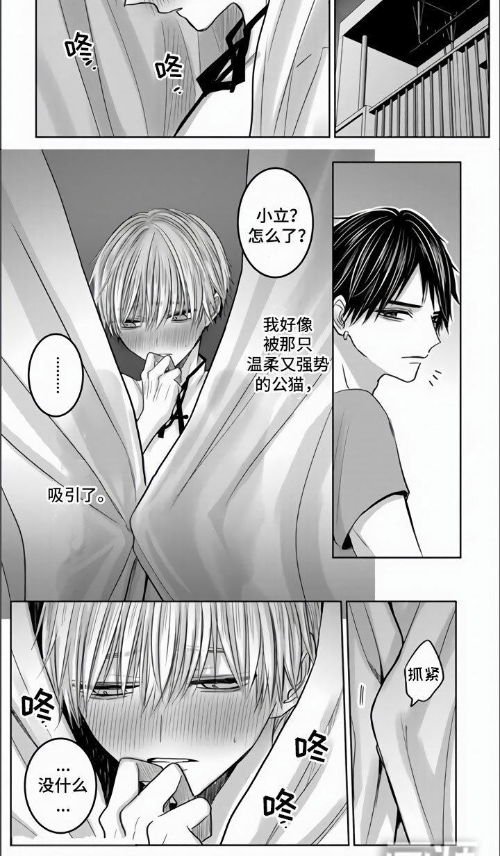 第9章：把你夺走了