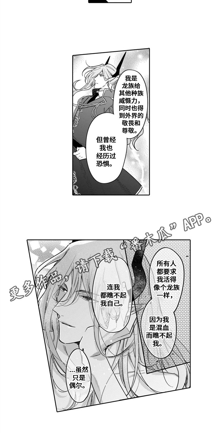 第14章：想法