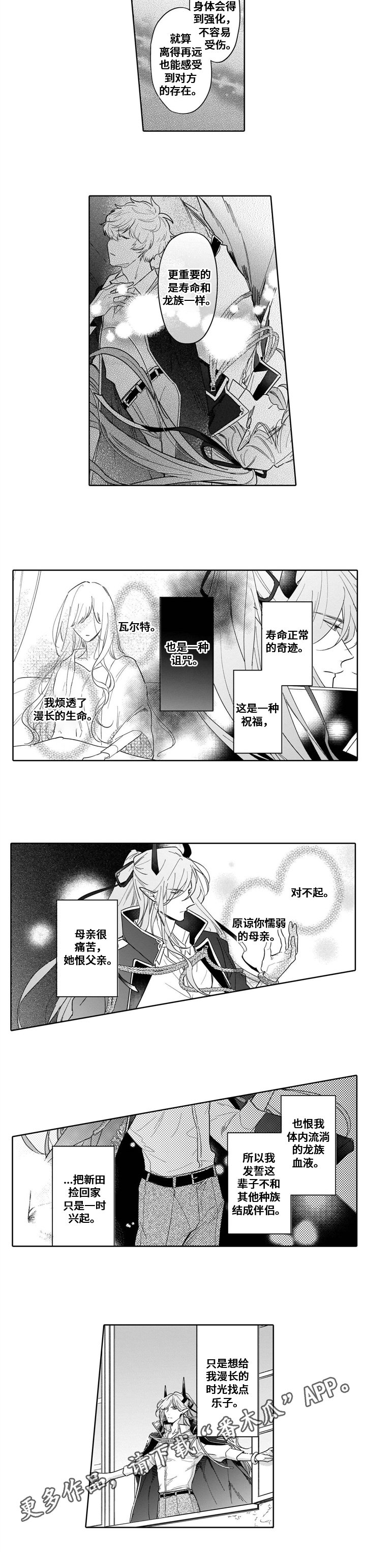 第14章：想法