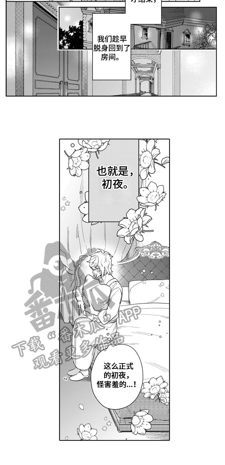 第18章：结婚