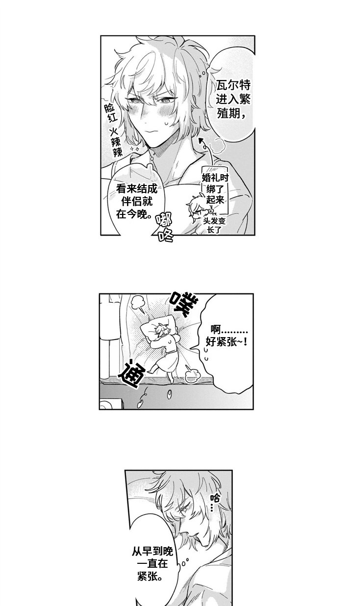 第19章：着急
