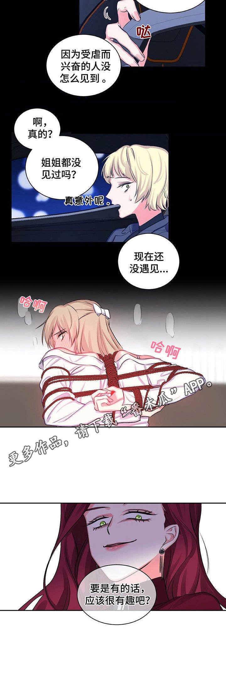 第16章：4种取向