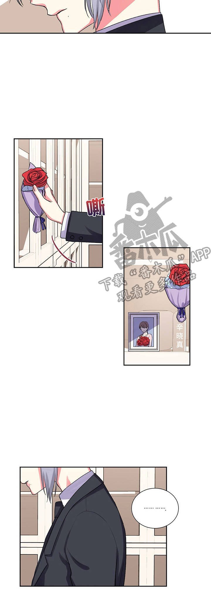 第26章：重要的日子
