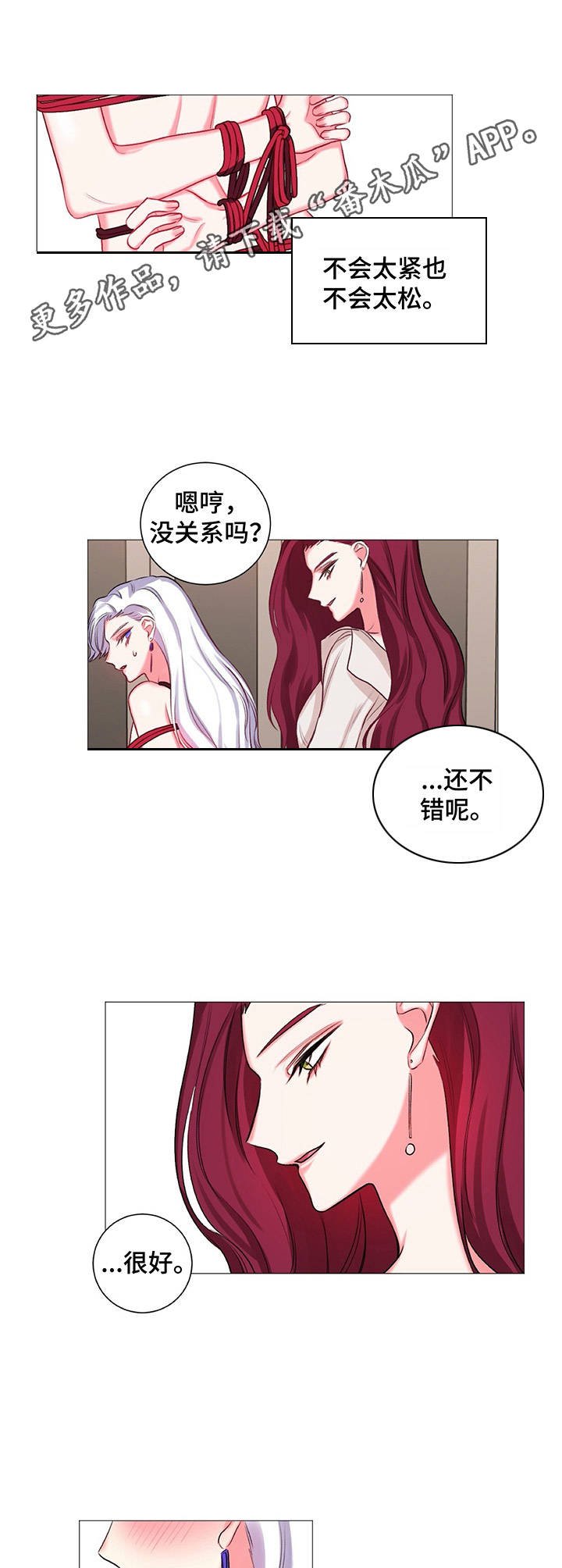 第28章：迫不及待