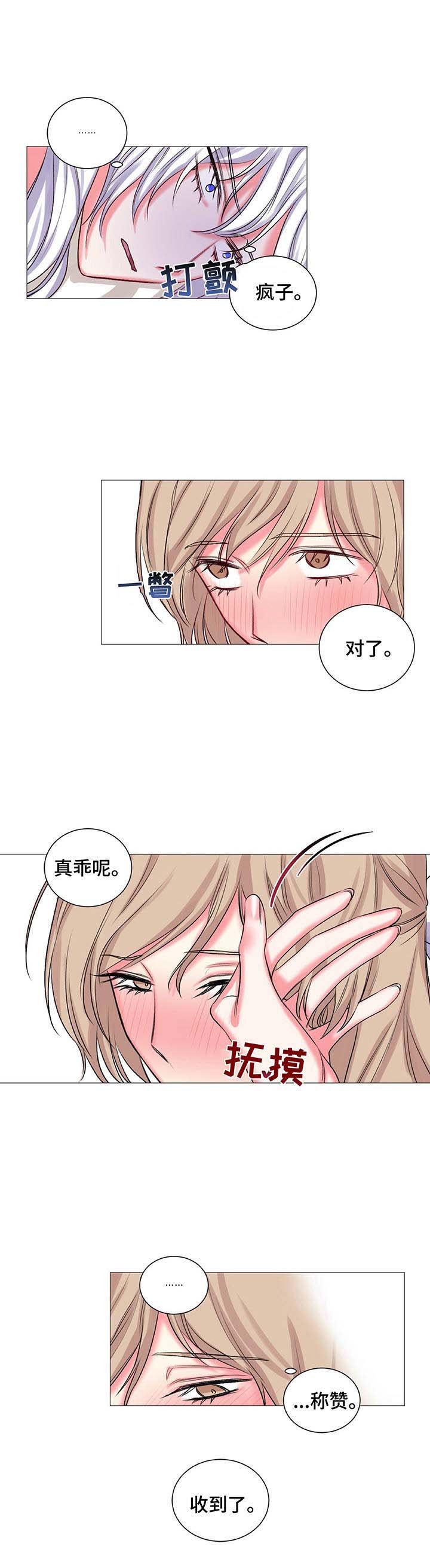 第29章：耀眼的人