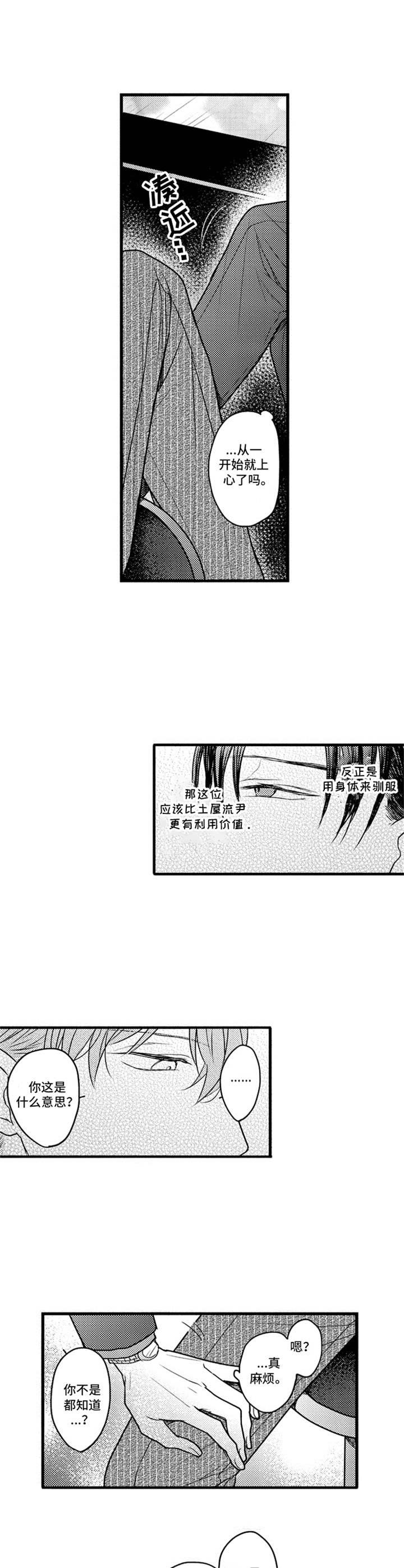 第13章：一时兴起
