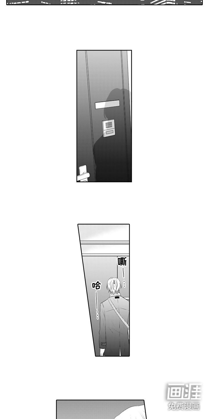 第19章：理由