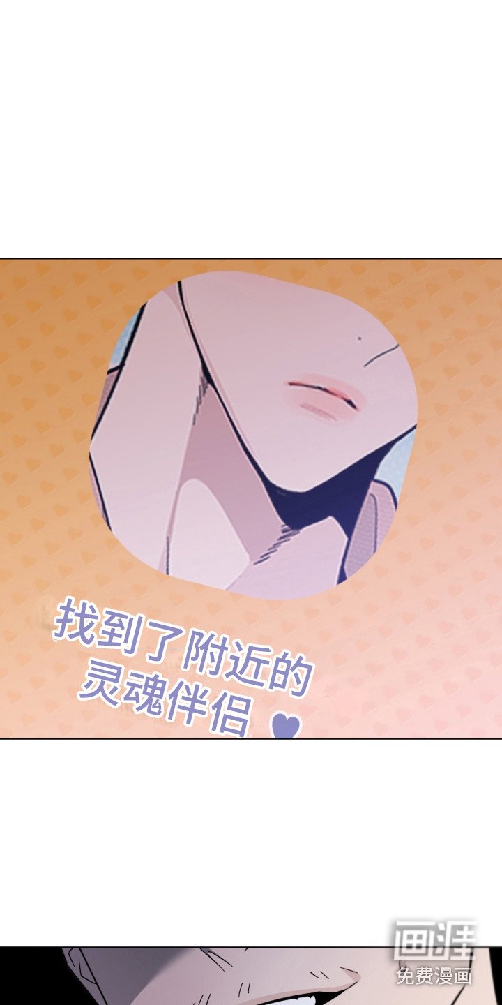 第19章：换组