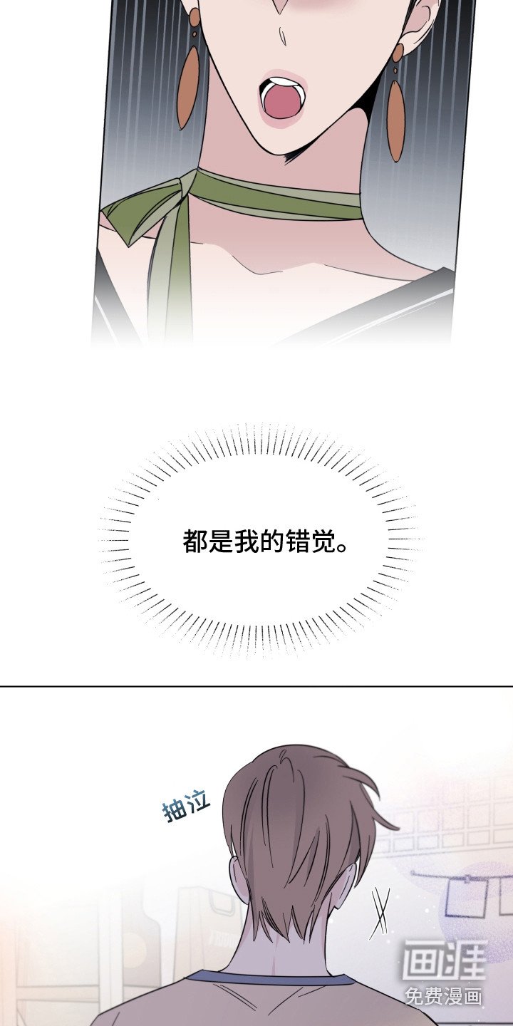 第20章：错觉