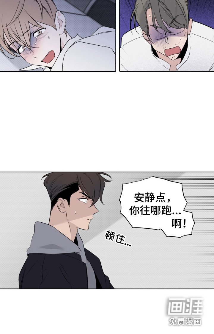 第29章：头像
