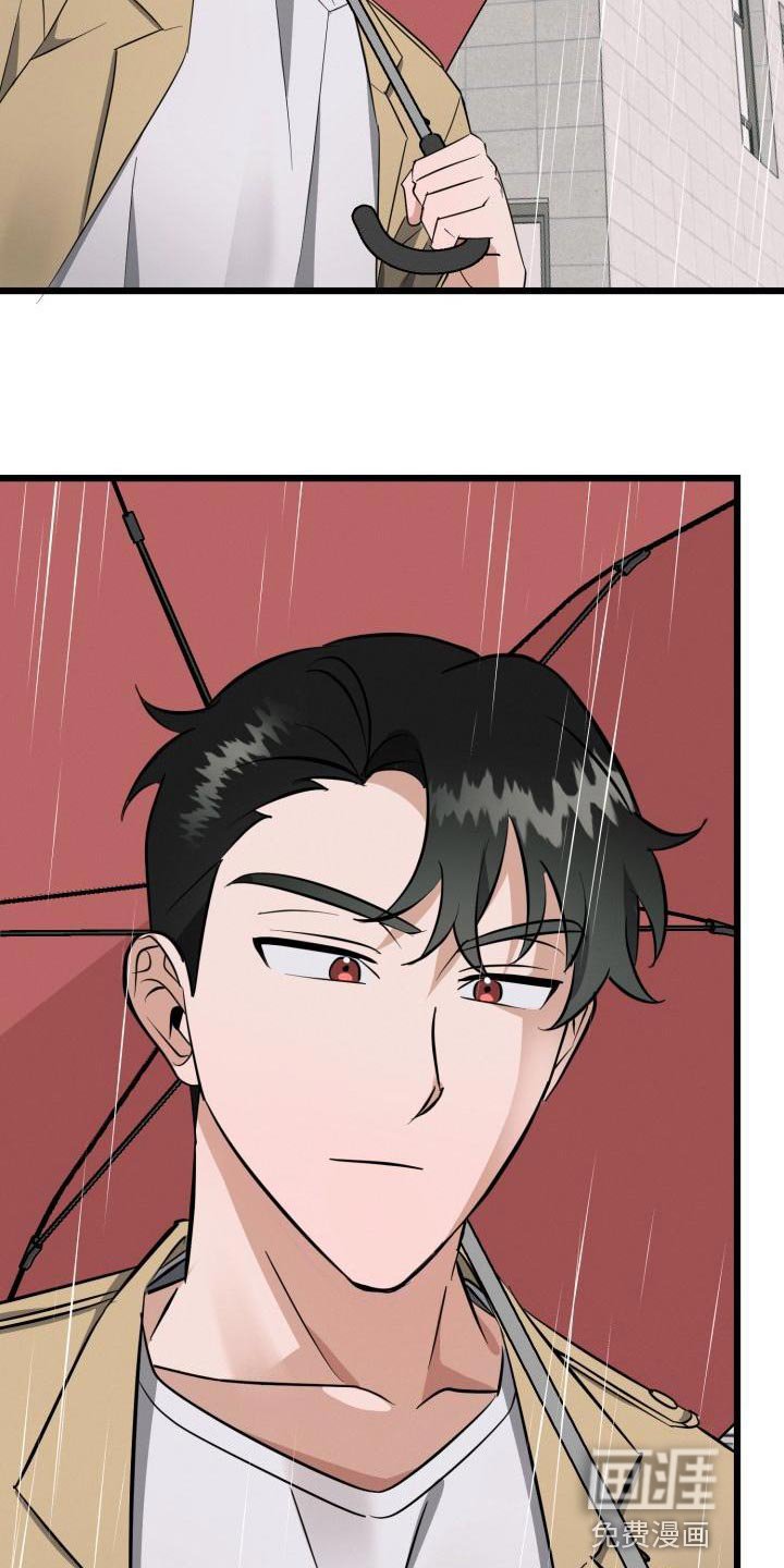 第17章：全都是因为我