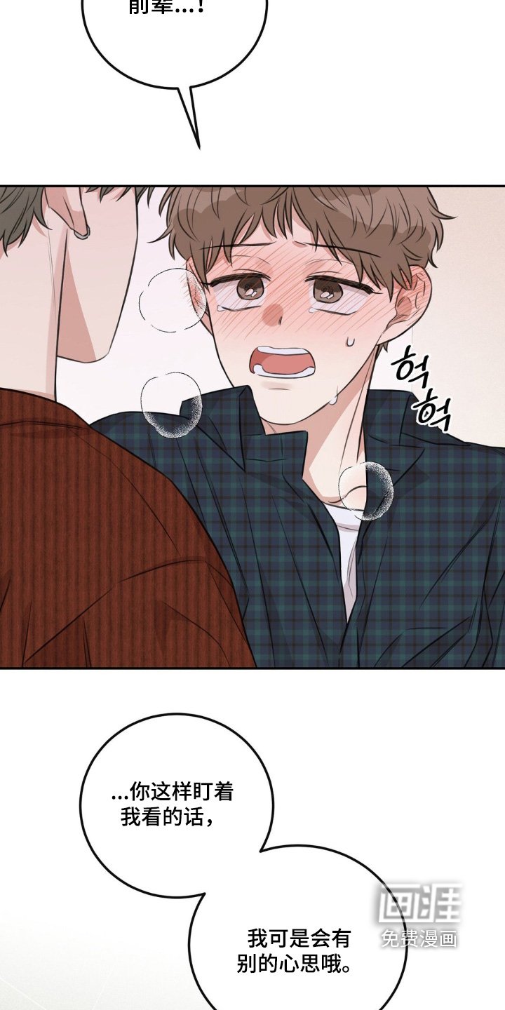 第14章：住手