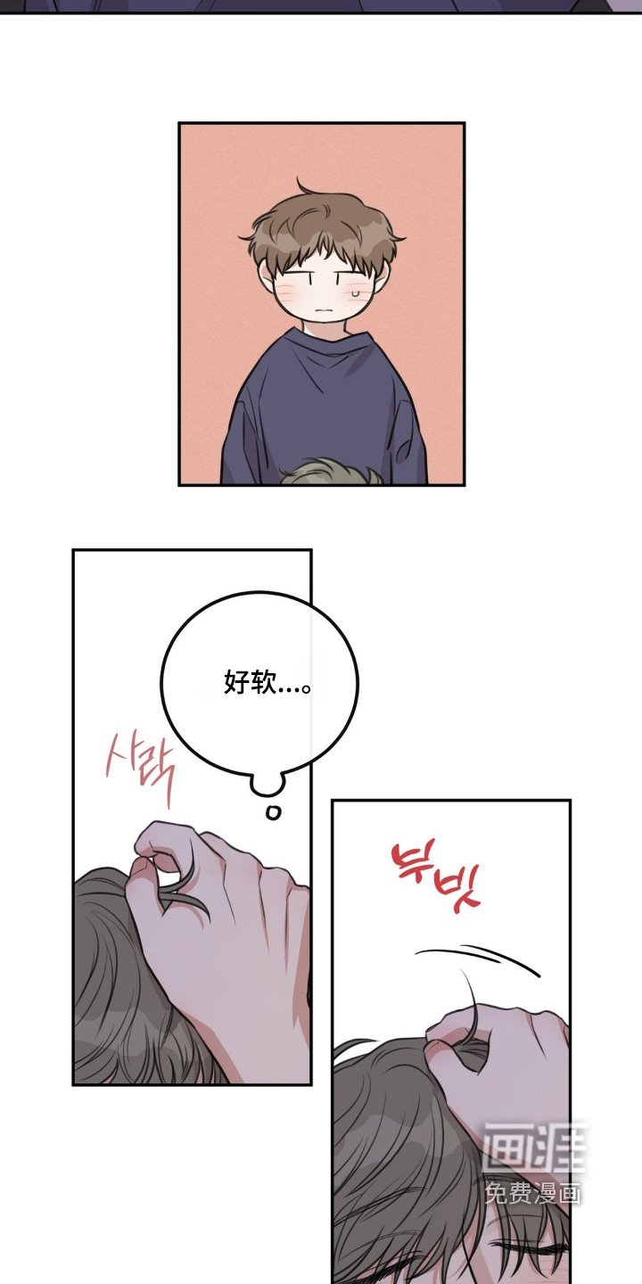 第31章：结果睡着了