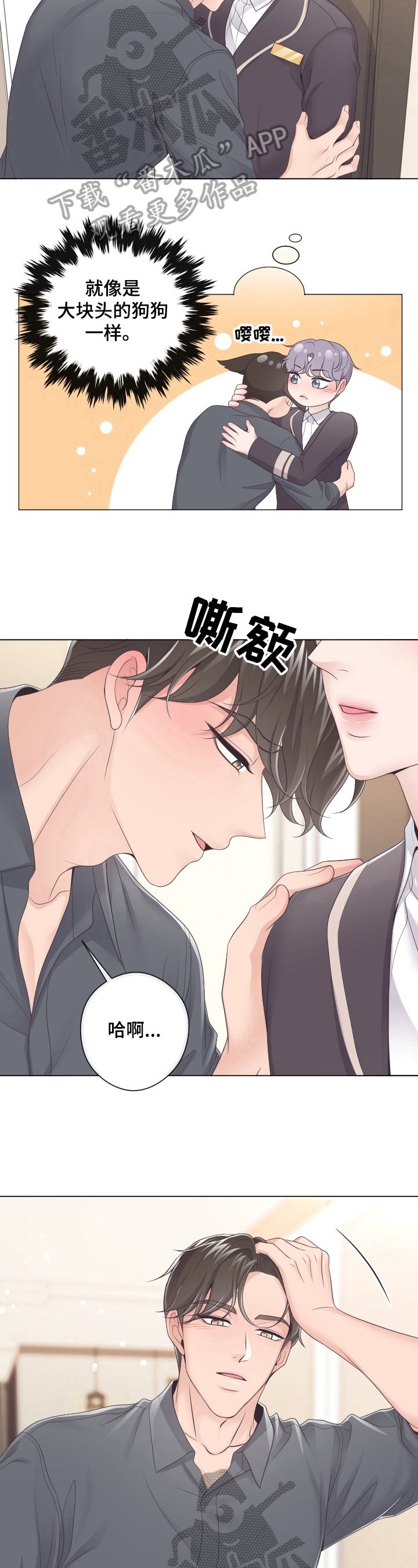 第12章：是非