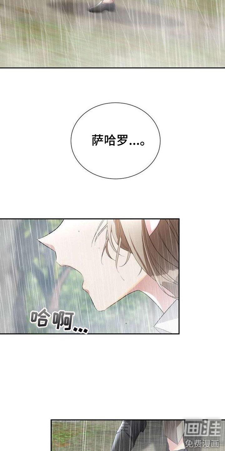 第61章：表白