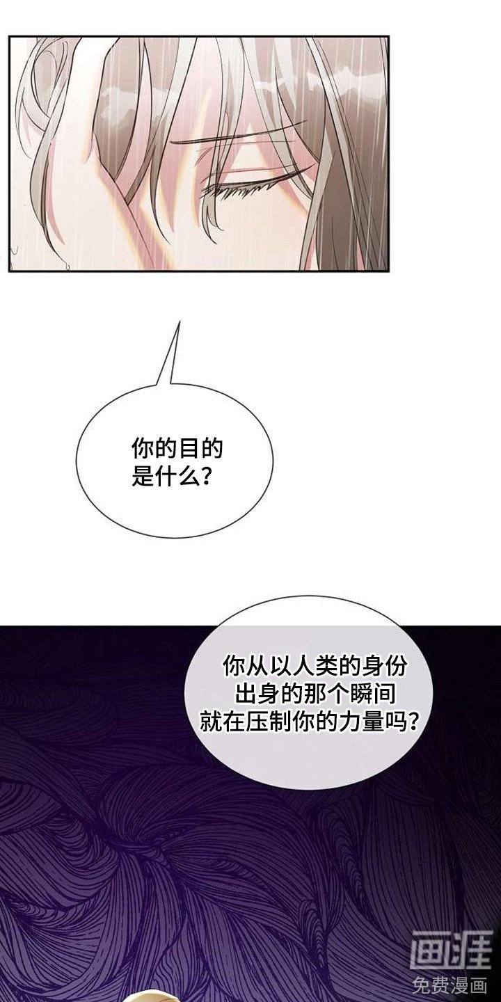 第61章：表白