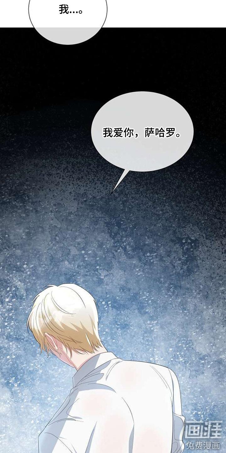 第61章：表白