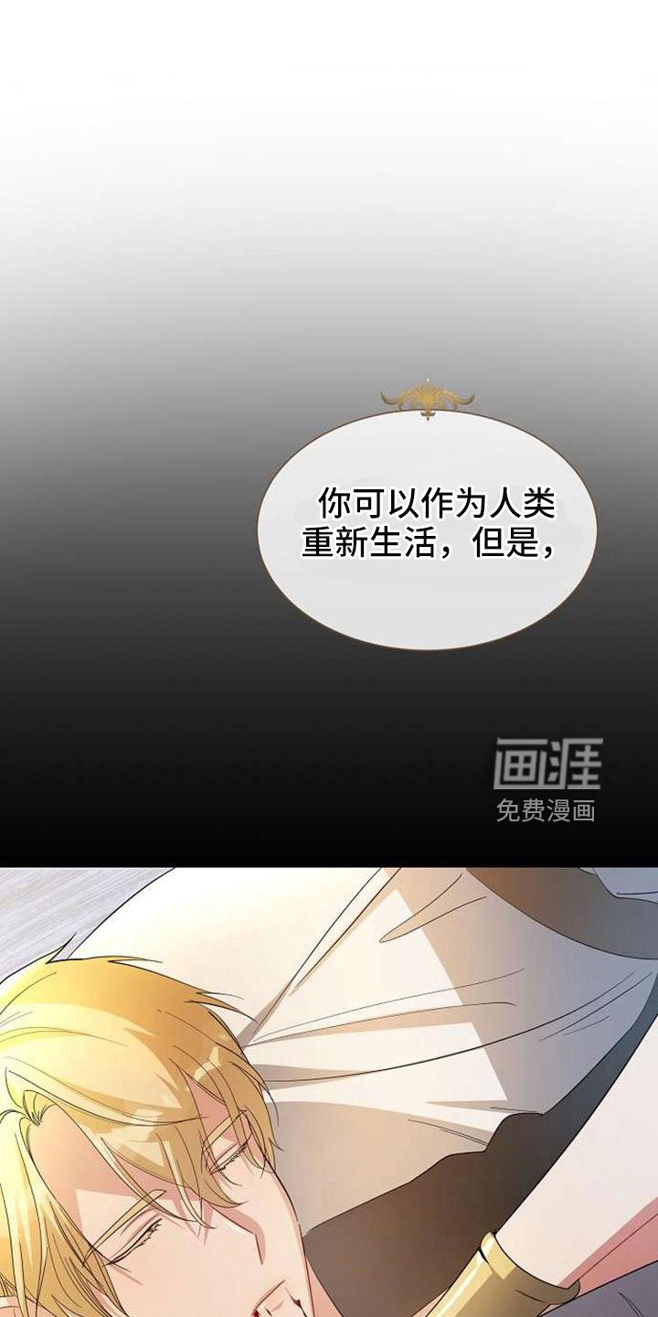 第74章：回去吧