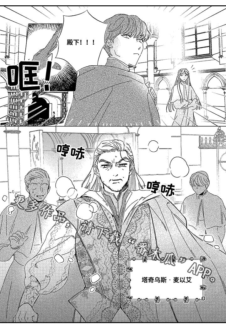第11章：首席神官
