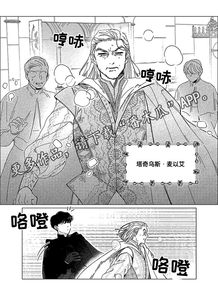 第12章：日食