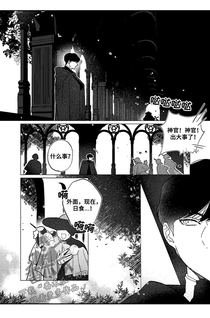 第12章：日食