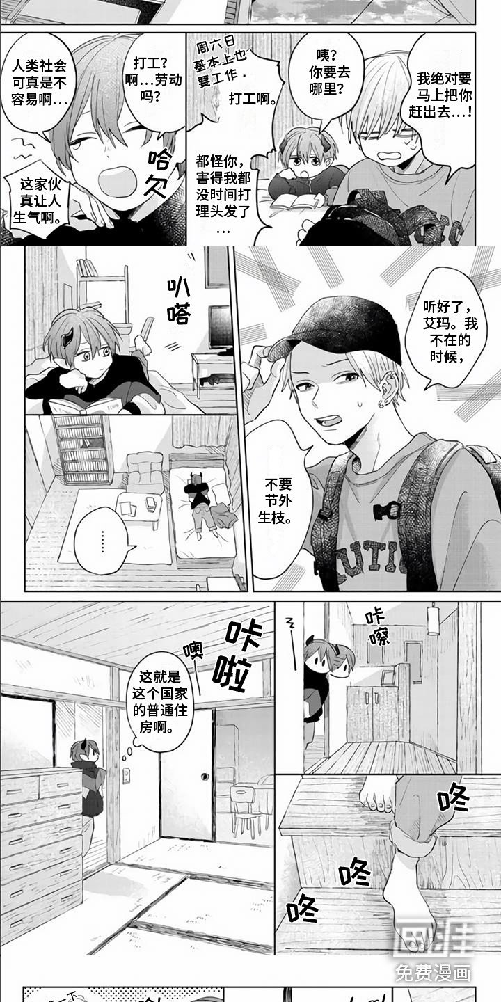 第4章：装可怜