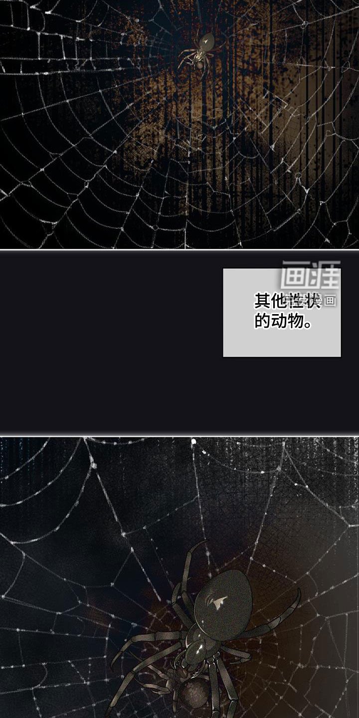 第152章：【第三季】自相残杀