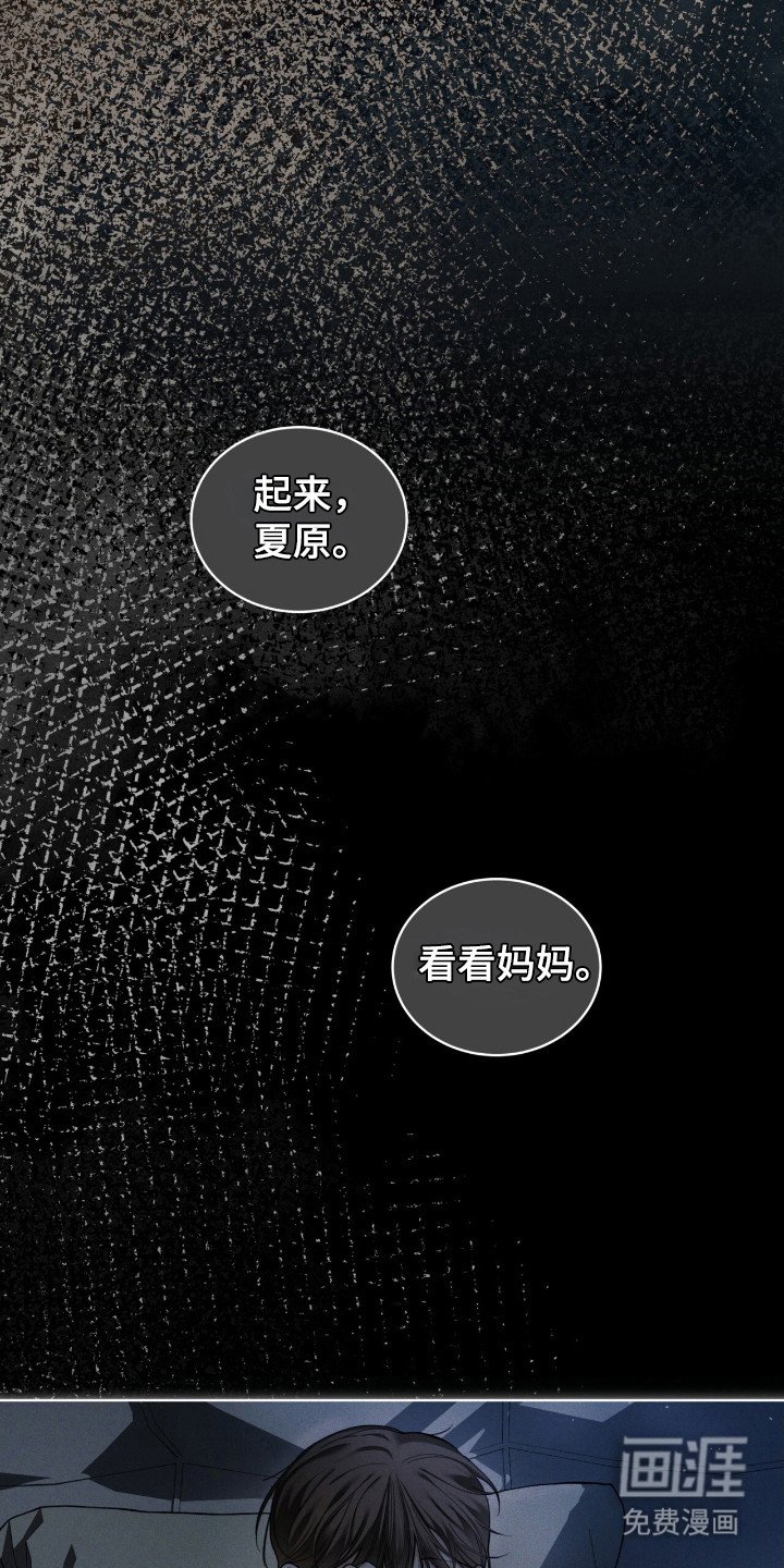 第168章：【第三季】吉祥菜