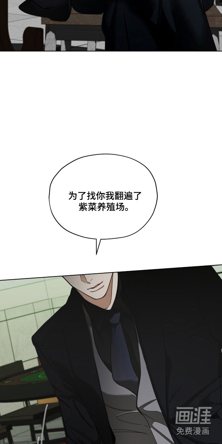 第197章：【第三季】犯规