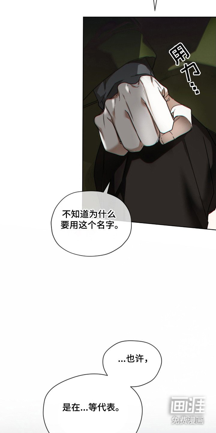 第198章：【第三季】利用假名