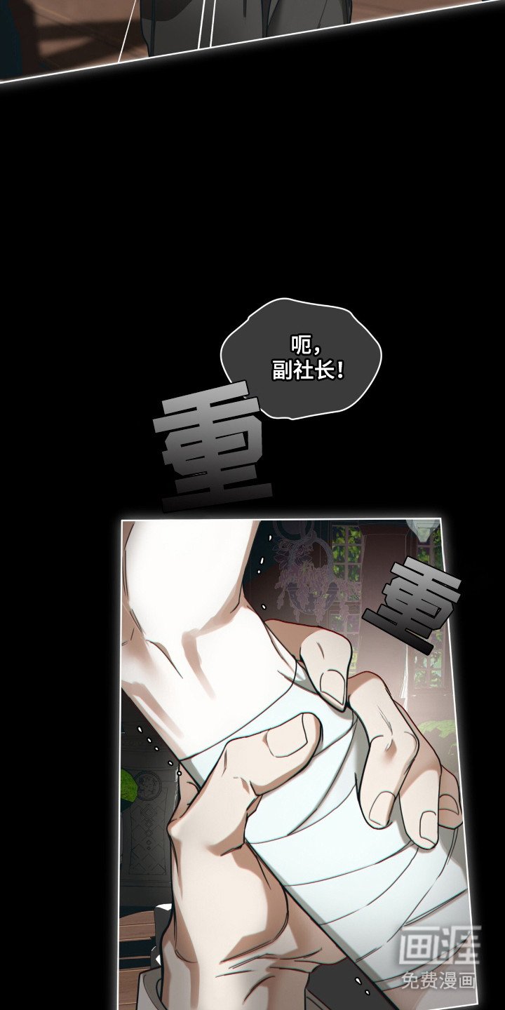 第201章：【第三季】不是亲生