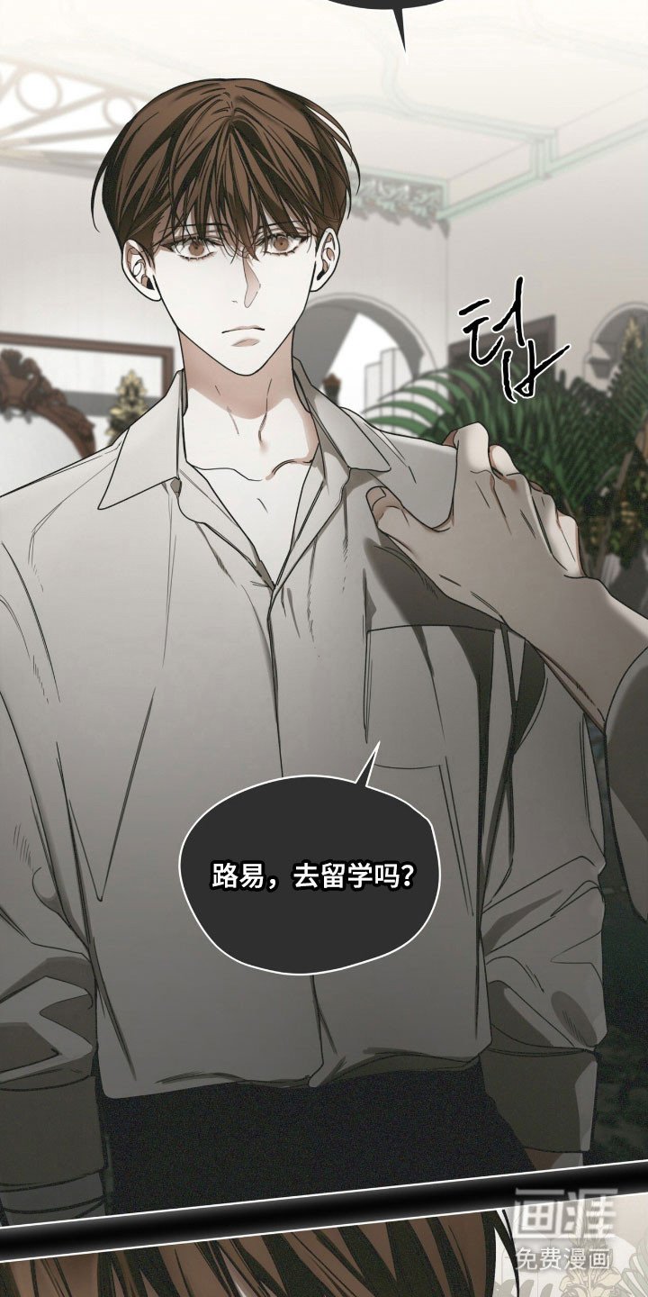 第206章：【第四季】权衡差距