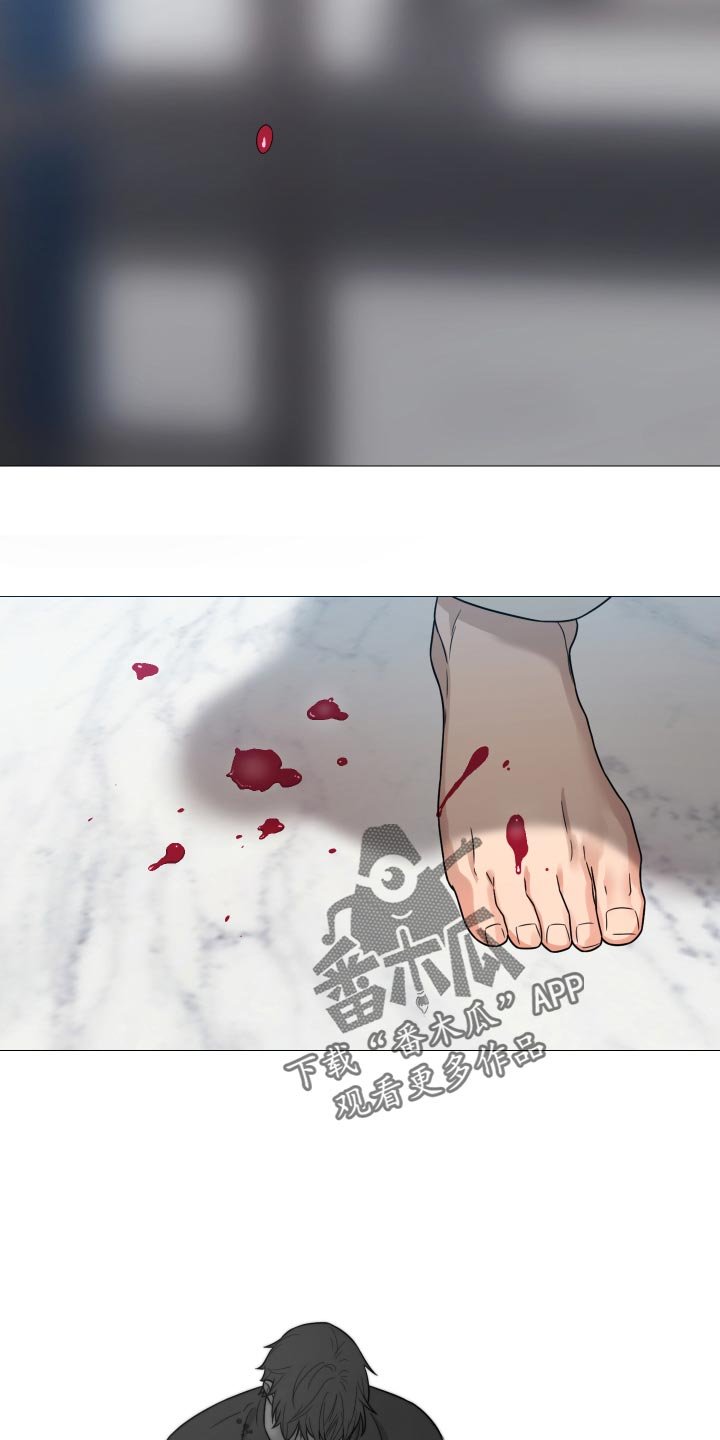 第36章：你还真是自大
