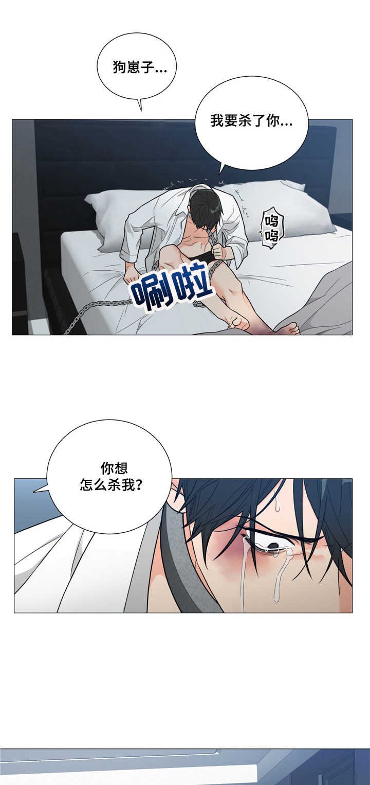 第5章：喂食
