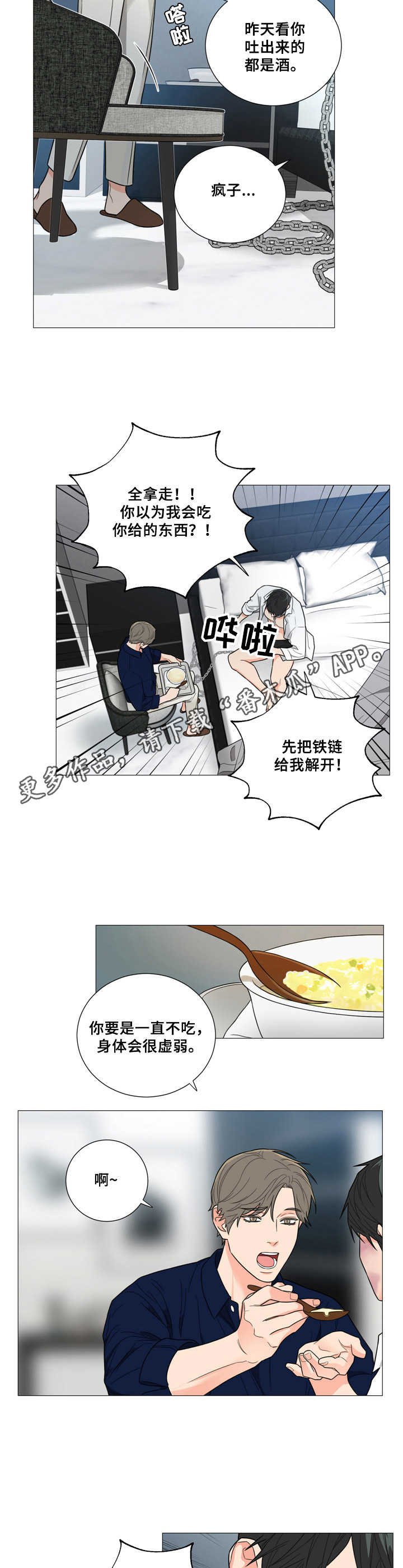 第5章：喂食