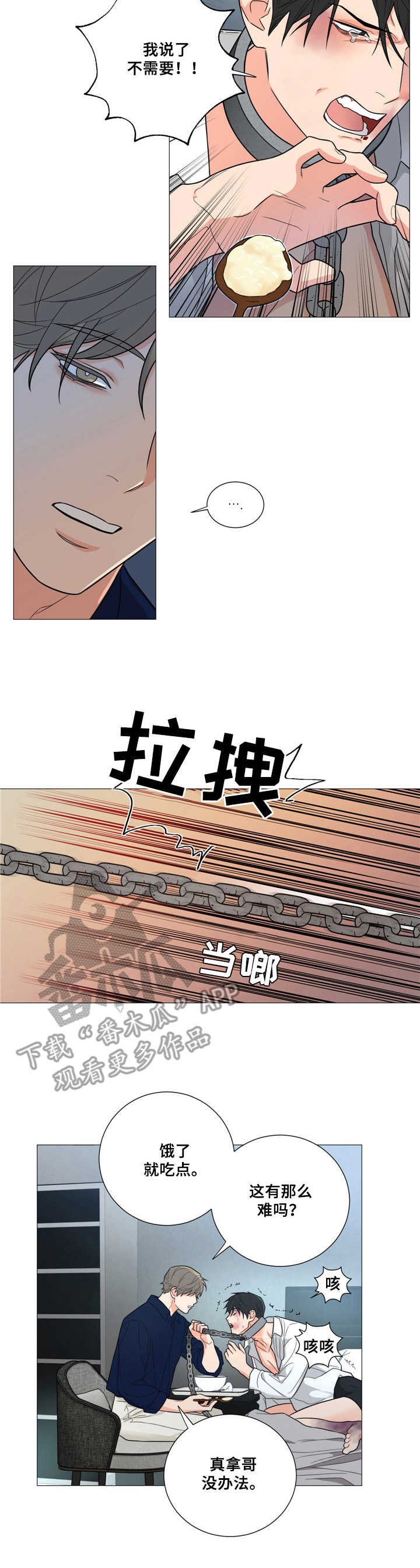 第5章：喂食