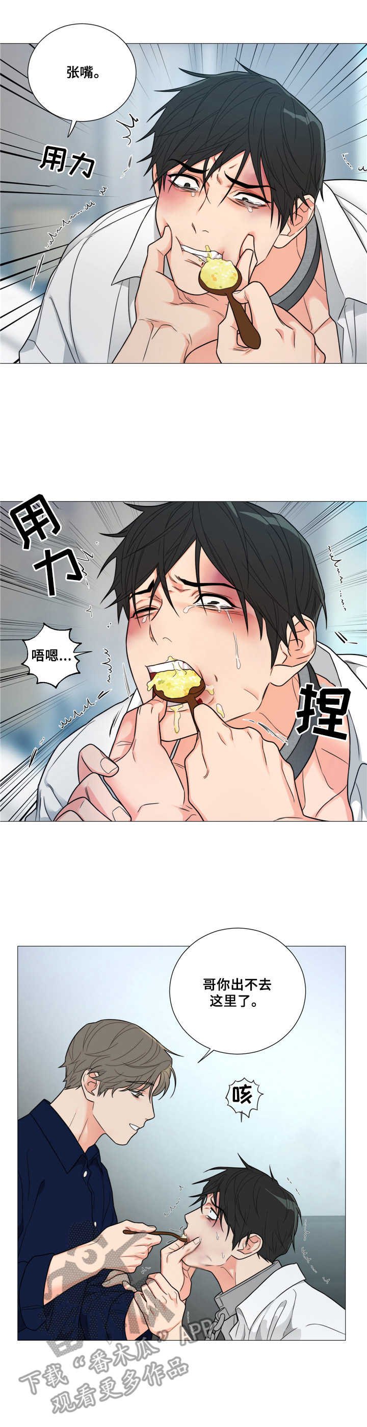 第5章：喂食