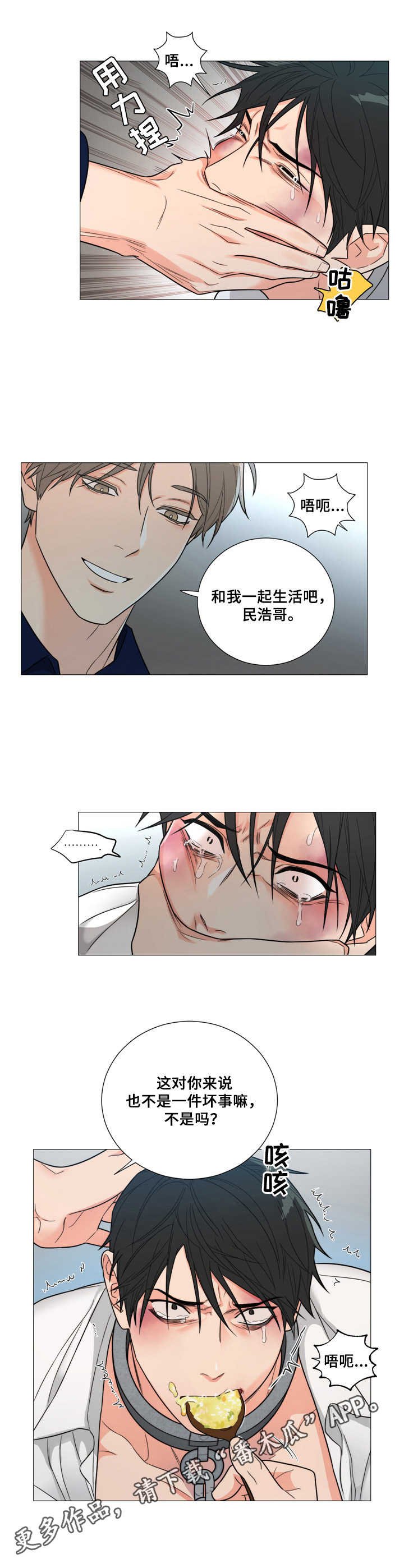 第5章：喂食