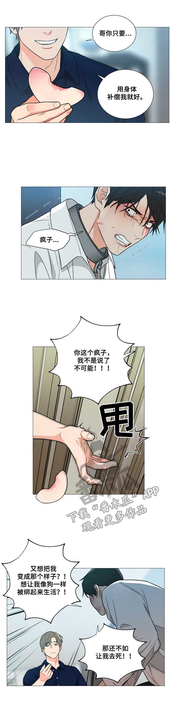 第6章：疯子
