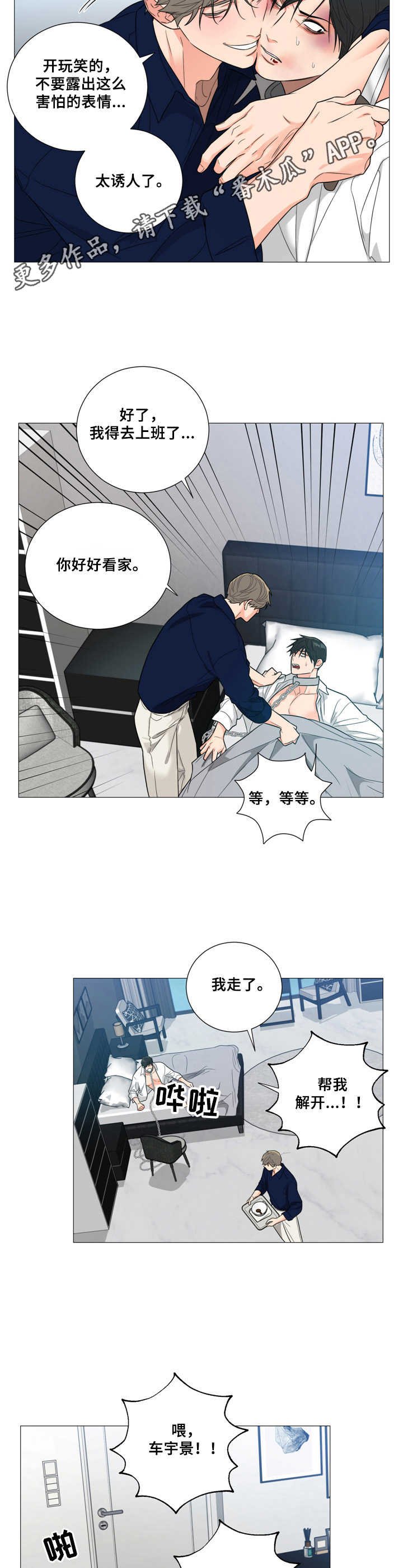 第6章：疯子