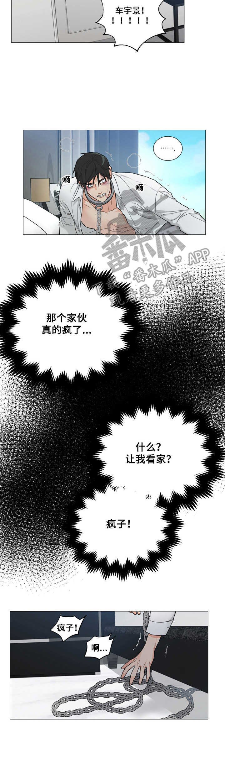 第6章：疯子