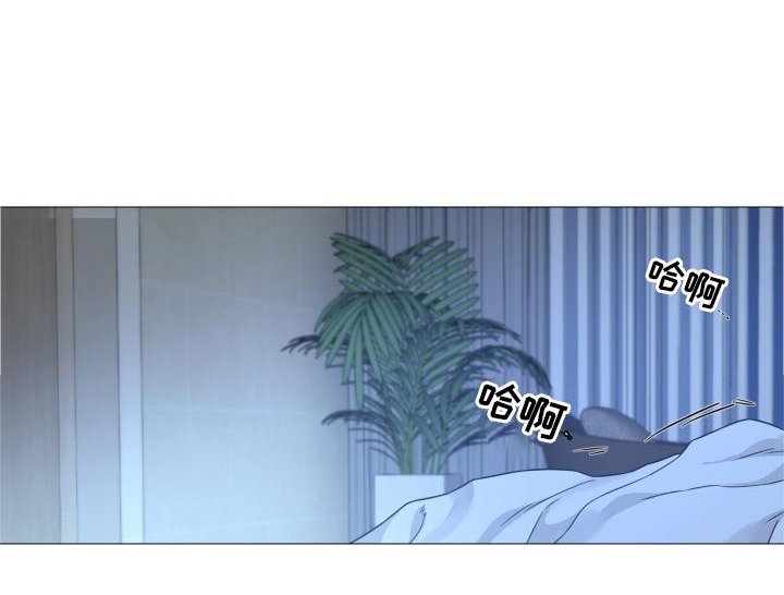 第65章：【第二季】安静
