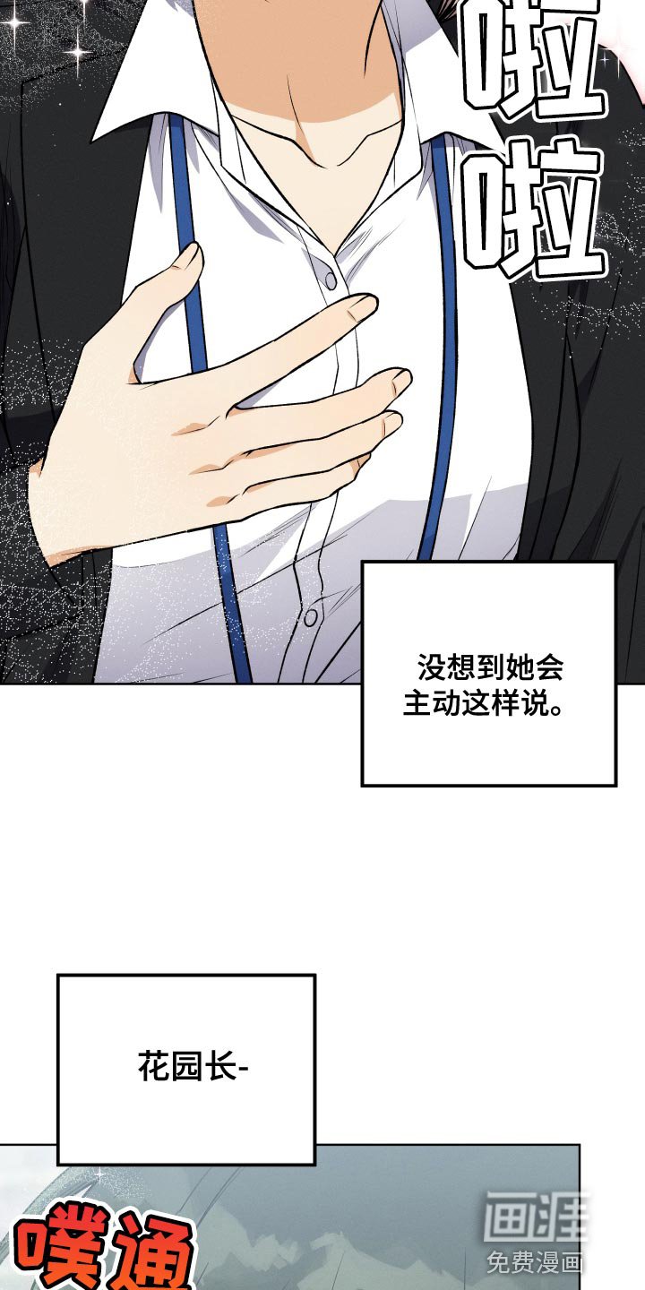 第36章：完美的计划