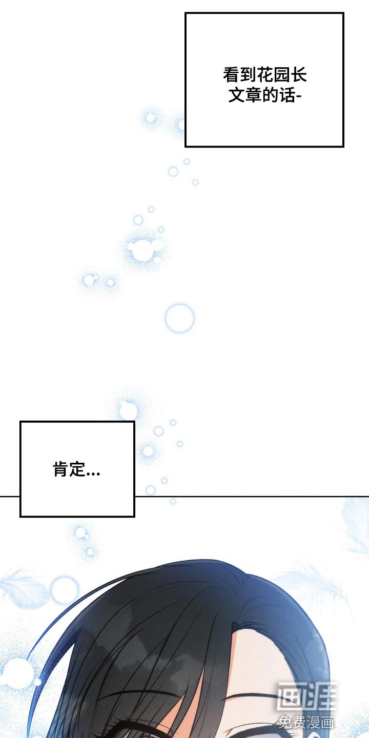 第36章：完美的计划