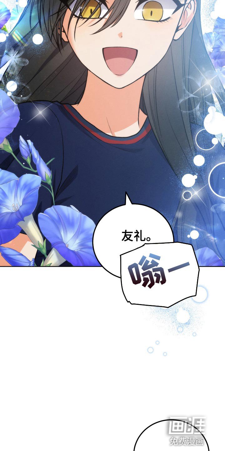 第36章：完美的计划
