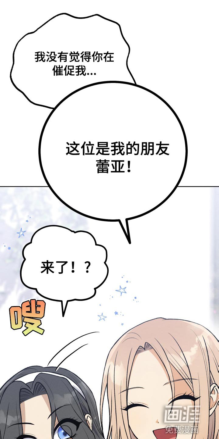 第36章：完美的计划