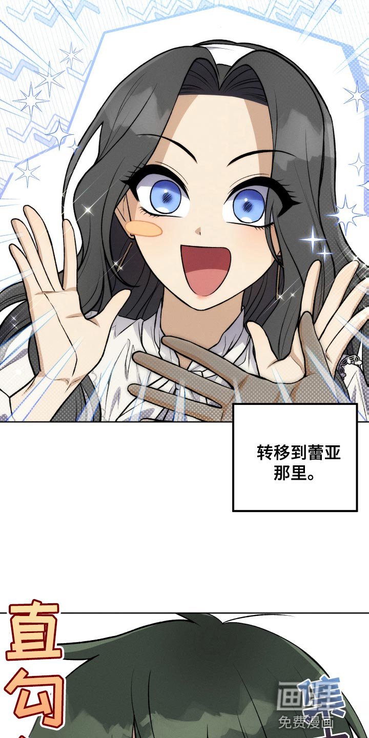 第36章：完美的计划