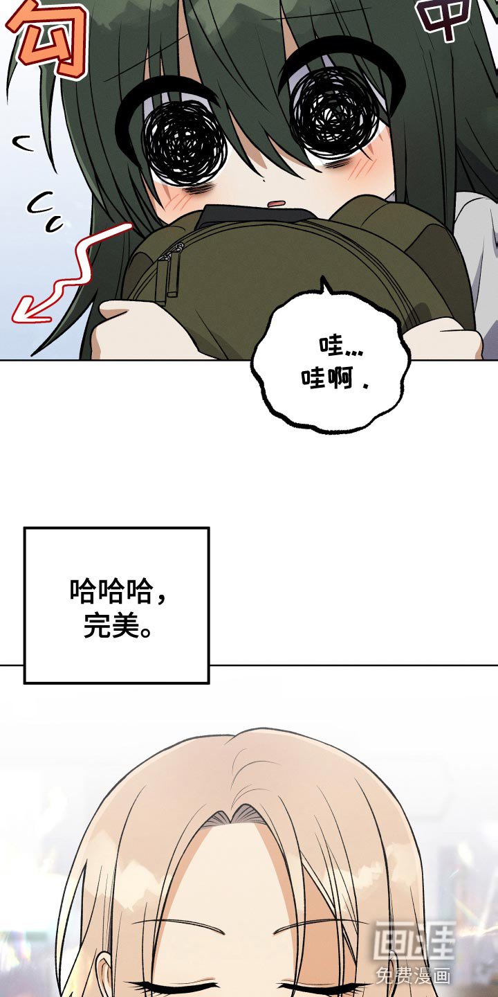 第36章：完美的计划